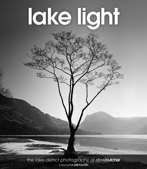 Dave Butcher Lake Light book cover