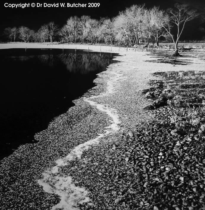 Buttermere Icy Shoreline, Lake District