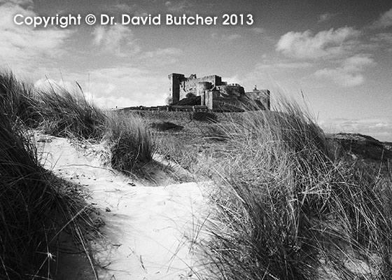 Bamburgh Castle and Sand Dunes