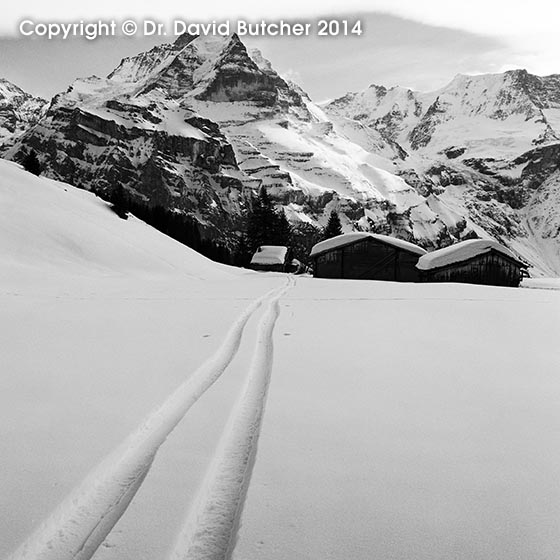 Jungfrau and Ski Tracks