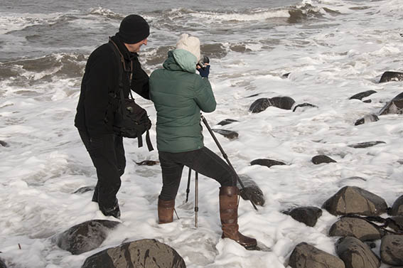 Dunstanburgh Castle Beach