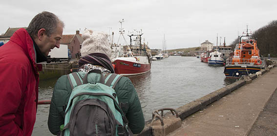 Eyemouth Harbour, Jo and Dave Butcher #2