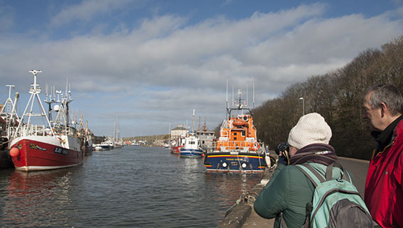 Eyemouth Harbour, Jo and Dave Butcher