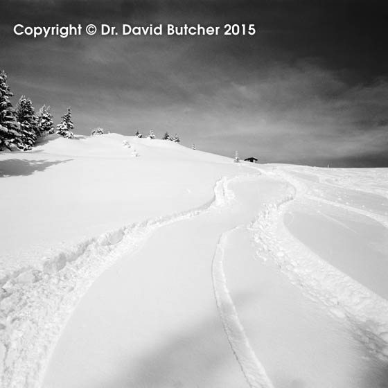 Kitzbuhel Ski Tracks, square