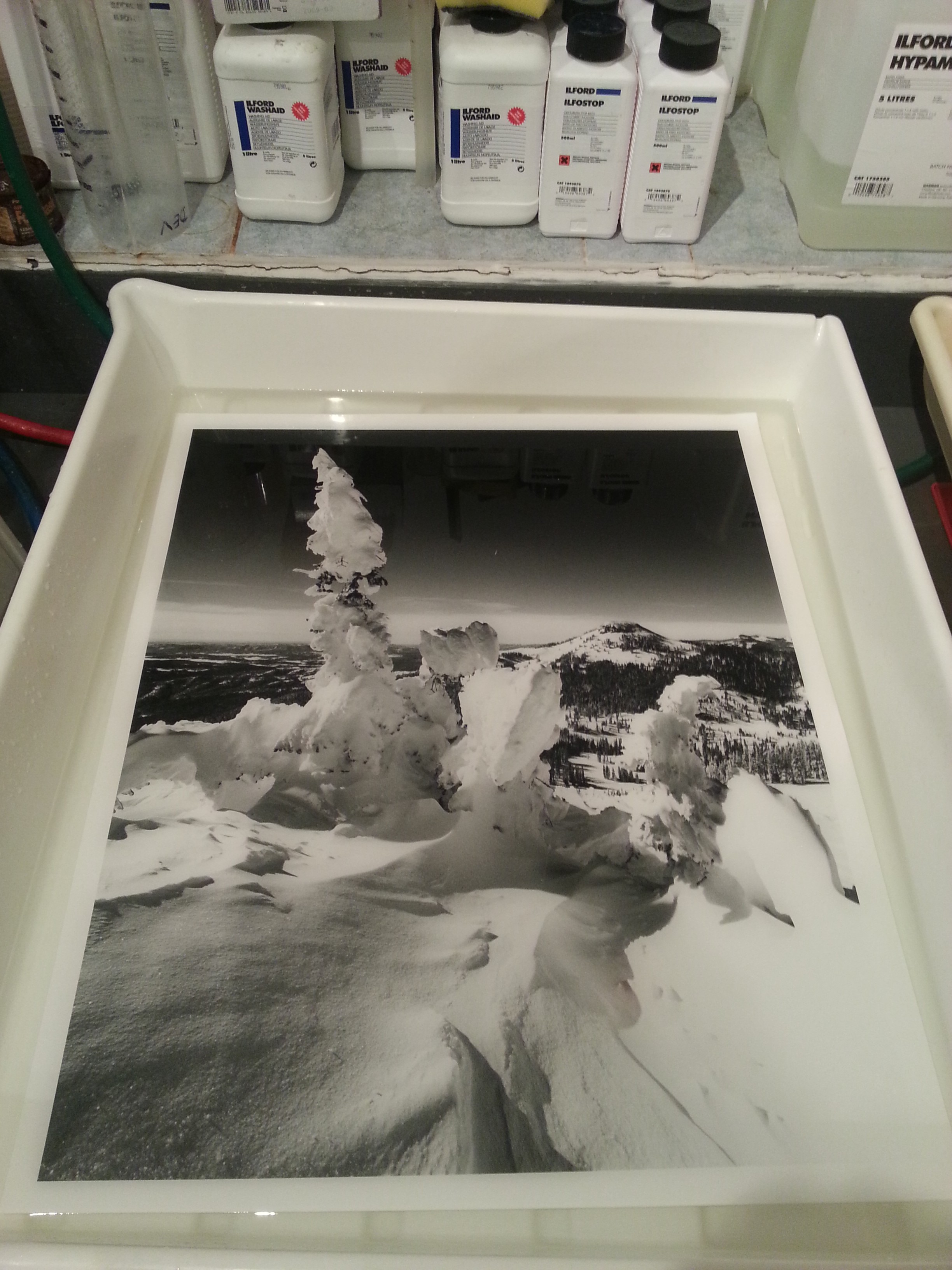 Printing For Ilford Photo Stand At Photokina 2014 - Darkroom Dave